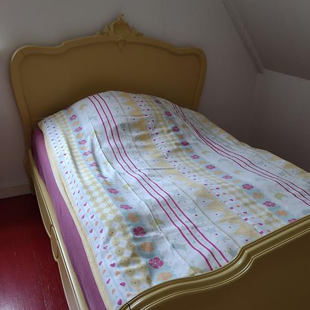 De Duindistel Bed By The Sea Villa Dishoek Buitenkant foto